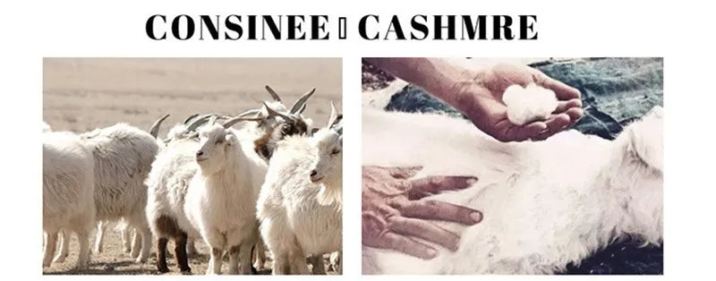 Pull col Roulé Homme Premium- Style Élégant